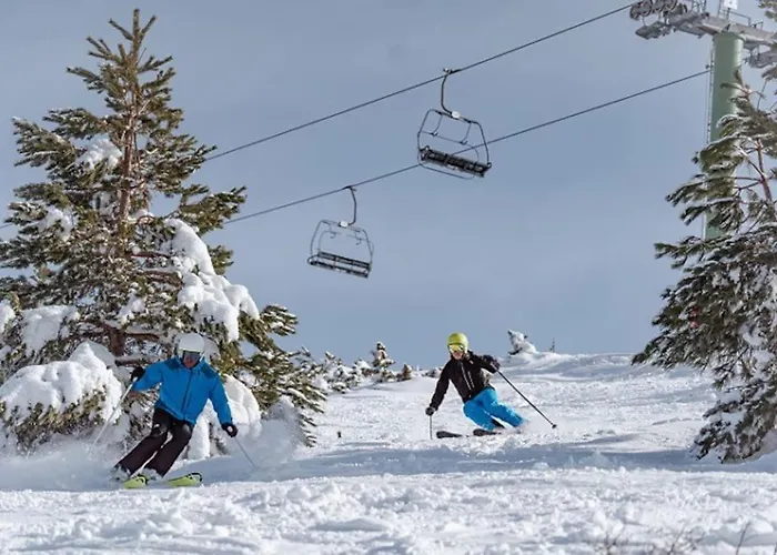 La Barberia Cascante del Rio